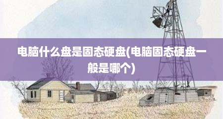 电脑什么盘是固态硬盘(电脑固态硬盘一般是哪个)