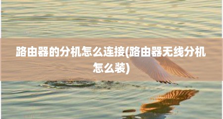 路由器的分机怎么连接(路由器无线分机怎么装)