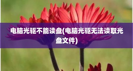 电脑光驱不能读盘(电脑光驱无法读取光盘文件)