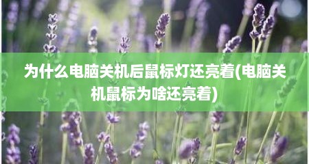 为什么电脑关机后鼠标灯还亮着(电脑关机鼠标为啥还亮着)
