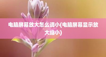 电脑屏幕放大怎么调小(电脑屏幕显示放大缩小)