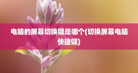 电脑的屏幕切换键是哪个(切换屏幕电脑快捷键)
