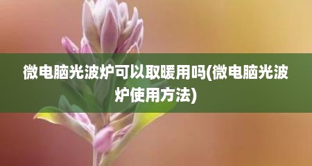 微电脑光波炉可以取暖用吗(微电脑光波炉使用方法)