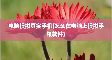 电脑模拟真实手机(怎么在电脑上模拟手机软件)
