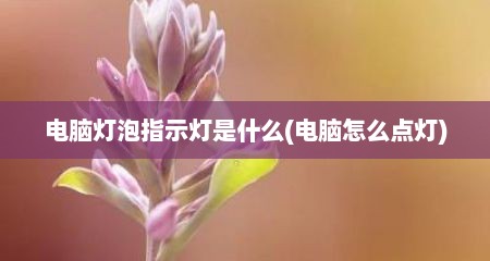 电脑灯泡指示灯是什么(电脑怎么点灯)