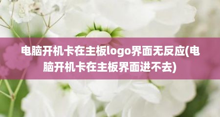 电脑开机卡在主板logo界面无反应(电脑开机卡在主板界面进不去)