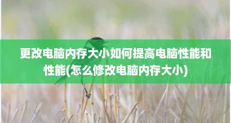 更改电脑内存大小如何提高电脑性能和性能(怎么修改电脑内存大小)