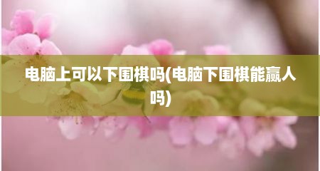 电脑上可以下围棋吗(电脑下围棋能赢人吗)
