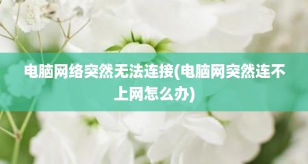 电脑网络突然无法连接(电脑网突然连不上网怎么办)