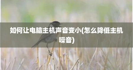 如何让电脑主机声音变小(怎么降低主机噪音)