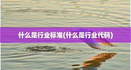 什么是行业标准(什么是行业代码)