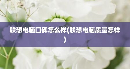 联想电脑口碑怎么样(联想电脑质量怎样)