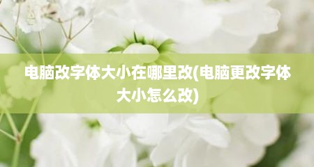 电脑改字体大小在哪里改(电脑更改字体大小怎么改)