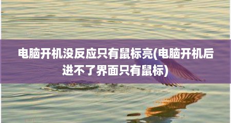 电脑开机没反应只有鼠标亮(电脑开机后进不了界面只有鼠标)