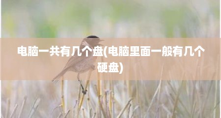 电脑一共有几个盘(电脑里面一般有几个硬盘)
