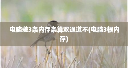 电脑装3条内存条算双通道不(电脑3根内存)
