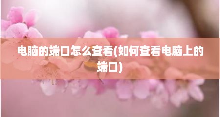 电脑的端口怎么查看(如何查看电脑上的端口)