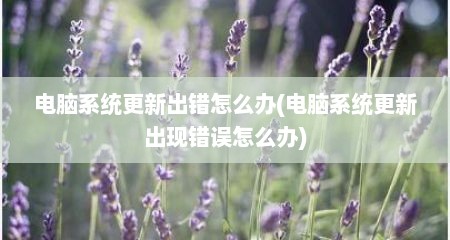 电脑系统更新出错怎么办(电脑系统更新出现错误怎么办)