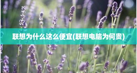 联想为什么这么便宜(联想电脑为何贵)
