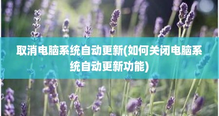 取消电脑系统自动更新(如何关闭电脑系统自动更新功能)