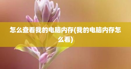 怎么查看我的电脑内存(我的电脑内存怎么看)