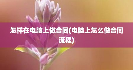 怎样在电脑上做合同(电脑上怎么做合同流程)