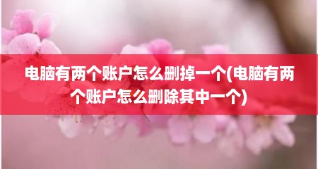 电脑有两个账户怎么删掉一个(电脑有两个账户怎么删除其中一个)