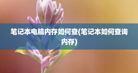 笔记本电脑内存如何查(笔记本如何查询内存)
