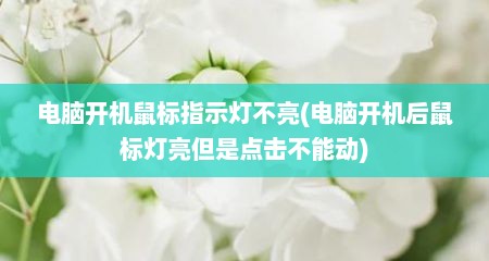 电脑开机鼠标指示灯不亮(电脑开机后鼠标灯亮但是点击不能动)