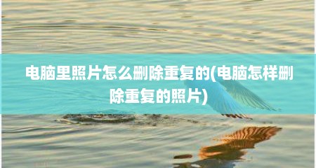 电脑里照片怎么删除重复的(电脑怎样删除重复的照片)