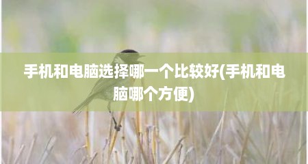 手机和电脑选择哪一个比较好(手机和电脑哪个方便)