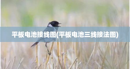 平板电池接线图(平板电池三线接法图)