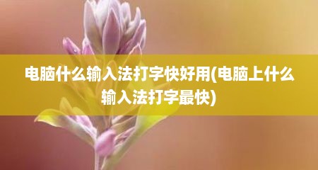 电脑什么输入法打字快好用(电脑上什么输入法打字最快)