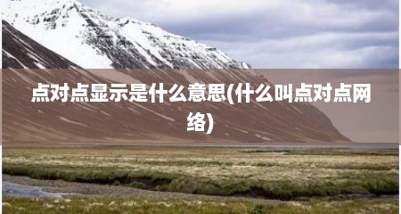 点对点显示是什么意思(什么叫点对点网络)