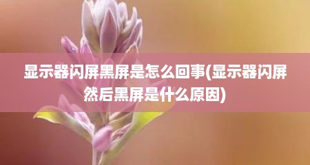显示器闪屏黑屏是怎么回事(显示器闪屏然后黑屏是什么原因)