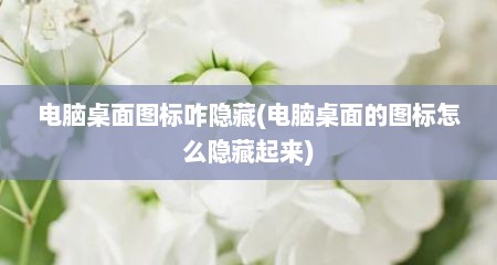 电脑桌面图标咋隐藏(电脑桌面的图标怎么隐藏起来)