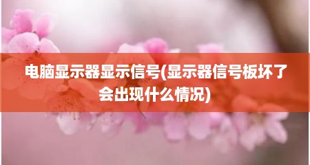 电脑显示器显示信号(显示器信号板坏了会出现什么情况)