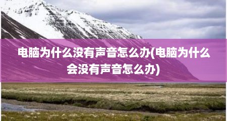 电脑为什么没有声音怎么办(电脑为什么会没有声音怎么办)