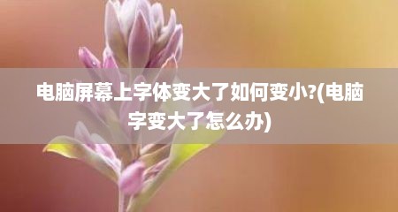 电脑屏幕上字体变大了如何变小?(电脑字变大了怎么办)