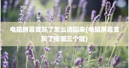 电脑屏幕变灰了怎么调回来(电脑屏幕变灰了按哪三个键)