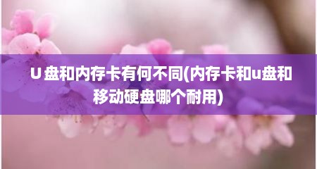 ∪盘和内存卡有何不同(内存卡和u盘和移动硬盘哪个耐用)