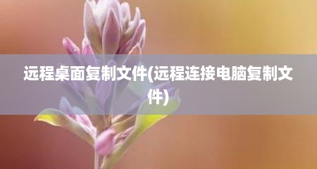 远程桌面复制文件(远程连接电脑复制文件)
