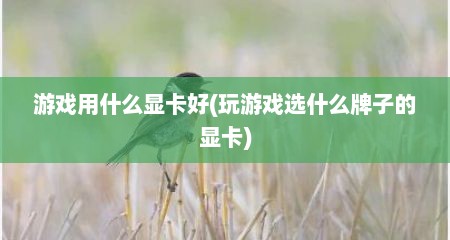 游戏用什么显卡好(玩游戏选什么牌子的显卡)