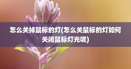怎么关掉鼠标的灯(怎么关鼠标的灯如何关闭鼠标灯光呢)