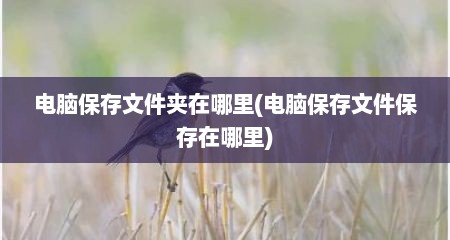 电脑保存文件夹在哪里(电脑保存文件保存在哪里)
