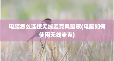 电脑怎么连接无线麦克风唱歌(电脑如何使用无线麦克)