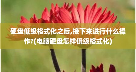 硬盘低级格式化之后,接下来进行什么操作?(电脑硬盘怎样低级格式化)