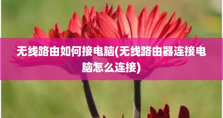 无线路由如何接电脑(无线路由器连接电脑怎么连接)