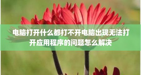 电脑打开什么都打不开电脑出现无法打开应用程序的问题怎么解决