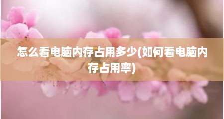 怎么看电脑内存占用多少(如何看电脑内存占用率)